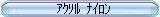 AN iC